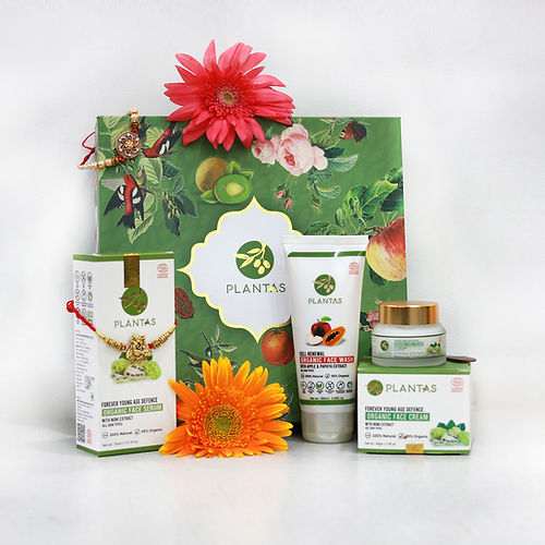 Plantas - Gift Box Age Defense