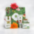 Organic Gift BOX Age Defence Range (3 Products)