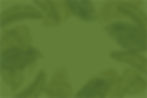 Enhance by Category BG